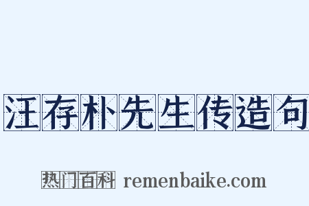 汪存朴先生传造句是什么意思的图片